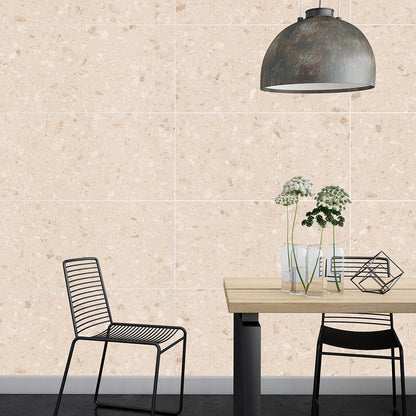 Fleck 60x120 Beige Polished - Tile Projects Ltd